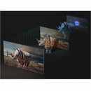 Samsung Q80D QN85Q80DAF 85" LED-LCD TV 2024 - 4K UHDTV