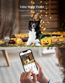 B10 Outdoor Camera