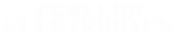 Echelon Electronics
