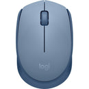 Logitech M170 Mouse
