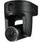 AVer Professional TR535N 8 Megapixel Indoor 4K Network Camera - Color - TAA Compliant