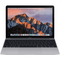 Apple MacBook 12inch Retina, Mid 2017- 2304 x 1440 Core M - 8 GB RAM - 256 GB SSD